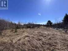 66 HWY 105 | Kenora Ontario | Slide Image Six