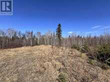 66 HWY 105 | Kenora Ontario | Slide Image Four