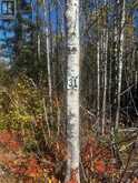 Lot 31 Grann Drive | Thunder Bay Ontario | Slide Image Five