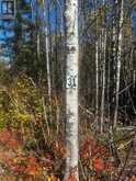 LOT 31 GRANN DRIVE | Thunder Bay Ontario | Slide Image Five