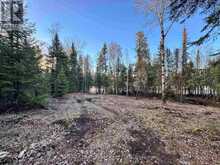 1,2,4,5 BENNETT DRIVE /MCMANUS STREET | Kenora Ontario | Slide Image Ten