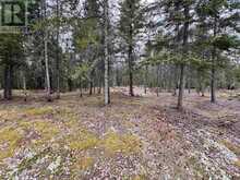 1,2,4,5 BENNETT DRIVE /MCMANUS STREET | Kenora Ontario | Slide Image One