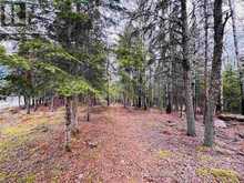1,2,4,5 BENNETT DRIVE /MCMANUS STREET | Kenora Ontario | Slide Image Four