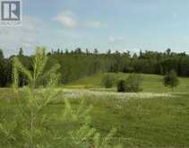 PIPESTONE PENINSULA | Sioux Narrows-Nestor Falls Ontario | Slide Image Two