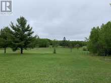 PIPESTONE PENINSULA | Sioux Narrows-Nestor Falls Ontario | Slide Image Eight