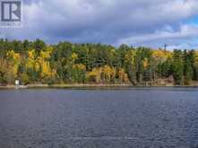 PIPESTONE PENINSULA | Sioux Narrows-Nestor Falls Ontario | Slide Image Nine