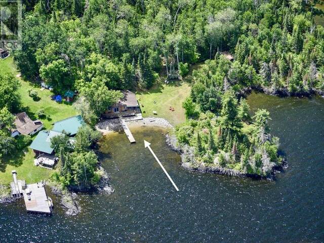 01 Allie Island|French Narrows area Kenora Ontario, P0X 1C0 - Waterfront For Sale