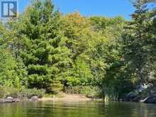 G 734 RAINY LAKE | Rainy River Ontario | Slide Image Twelve
