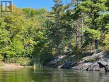 G 734 RAINY LAKE | Rainy River Ontario | Slide Image Thirteen
