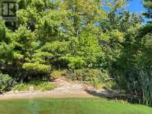 G 734 RAINY LAKE | Rainy River Ontario | Slide Image Nine