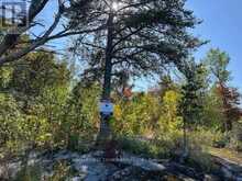G 734 RAINY LAKE | Rainy River Ontario | Slide Image Eighteen