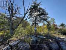 G 734 RAINY LAKE | Rainy River Ontario | Slide Image Thirty