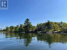 G 734 RAINY LAKE | Rainy River Ontario | Slide Image Fifteen