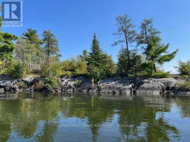 G 734 RAINY LAKE Rainy River Ontario, P9A 3M3 - Waterfront Land For Sale