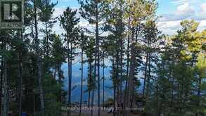 448G REEF PT ROAD | Rainy River Ontario | Slide Image Thirty-two