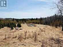 14794 17 | Dryden Ontario | Slide Image Five