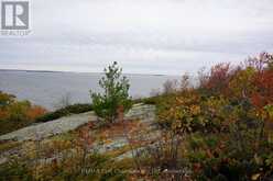 S1048 MASSACRE ISLAND | Keewatin Ontario | Slide Image Twelve