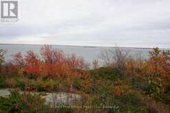S1048 MASSACRE ISLAND | Keewatin Ontario | Slide Image Four