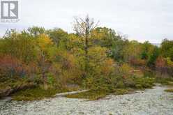 S1048 MASSACRE ISLAND | Keewatin Ontario | Slide Image Forty-two