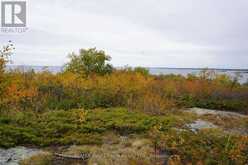 S1048 MASSACRE ISLAND | Keewatin Ontario | Slide Image Forty-three