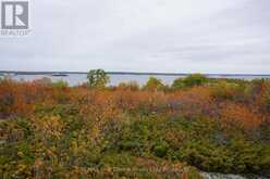 S1048 MASSACRE ISLAND | Keewatin Ontario | Slide Image Eight