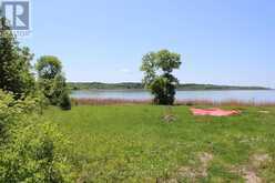 222 MORRISON RD | Lake of the Woods Ontario | Slide Image Four