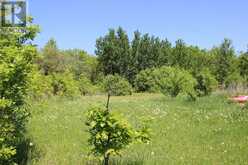 222 MORRISON RD | Lake of the Woods Ontario | Slide Image Nine