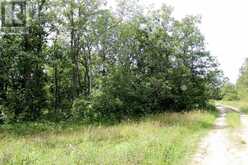 222 MORRISON RD | Lake of the Woods Ontario | Slide Image Fifteen