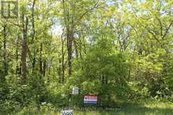 222 MORRISON RD | Lake of the Woods Ontario | Slide Image Thirty-three