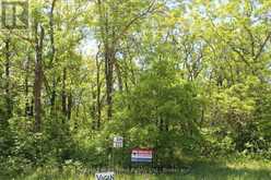 222 MORRISON RD | Lake of the Woods Ontario | Slide Image Thirty-three