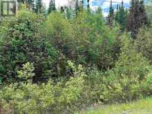LOT 5 EAGLE BAY ROAD | Kenora Ontario | Slide Image Eight