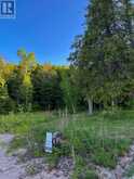 11 HAY ISLAND E | Keewatin Ontario | Slide Image Ten