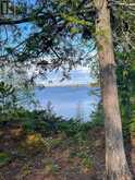 11 HAY ISLAND E | Keewatin Ontario | Slide Image Five