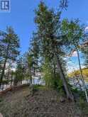 11 HAY ISLAND E | Keewatin Ontario | Slide Image Three