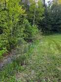 11 HAY ISLAND E | Keewatin Ontario | Slide Image Sixteen
