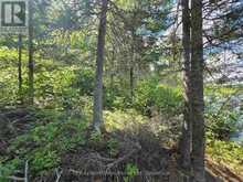 LOT 24 2467 PIPESTONE PENINSULA | Kenora Ontario | Slide Image Sixteen