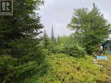 0 WEST SHORE OF SANTOY | Terrace Bay Ontario | Slide Image Three