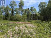 Lot 4 Pearl Bay Rd | Thunder Bay Ontario | Slide Image One