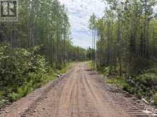 LOT 2 ROAD 5 SOUTH | Thunder Bay Ontario | Slide Image Three