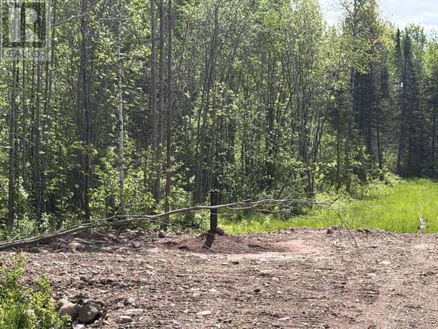 Lot 2 Road 5 South Thunder Bay Ontario, P0T 2M0 - Vacant Land For Sale