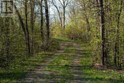 Lot 3 Ivall Drive | Rainy River Ontario | Slide Image Thirteen