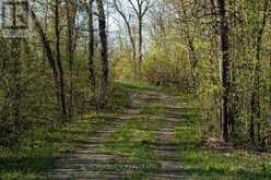 LOT 3 IVALL DRIVE | Rainy River Ontario | Slide Image Thirteen