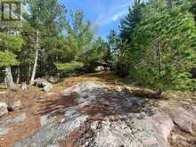 PIN 560660931 | Rainy River Ontario | Slide Image Two