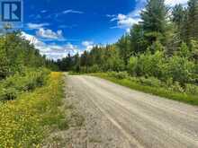 12 Plateau Lake Road | Atikokan Ontario | Slide Image Fifty