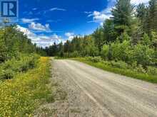 12 PLATEAU LAKE ROAD | Rainy River Ontario | Slide Image Fifty