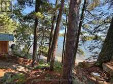 543A REEF POINT ROAD | Rainy River Ontario | Slide Image Forty