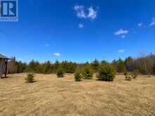 G1649 Flanders RD N | Atikokan Ontario | Slide Image Three