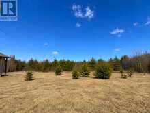 G1649 FLANDERS ROAD N | Rainy River Ontario | Slide Image Three