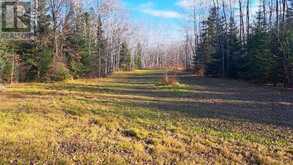 15 MALACHI | Kenora Ontario | Slide Image Eight