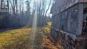 15 MALACHI | Kenora Ontario | Slide Image Nine
